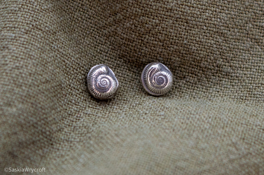 Recycled Silver Ammonite Stud Earrings | Sterling Silver