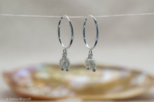 Load image into Gallery viewer, Freshwater Pearls Hoop Earrings | Sterling Silver
